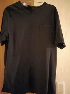 Shelty Tシャツ ブラック XLサイズ