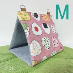 Item thumbnail for item e3cb7e6c-a107-402b-bfe1-f0a780e41e9a