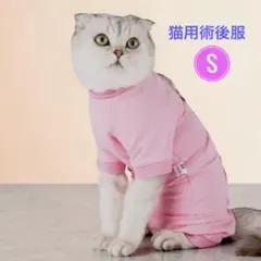 Item thumbnail for item 9660c6e3-1472-44c7-9113-c0f109786b0e