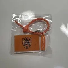 Jリーグクラブ　マルチチャーム　清水エスパルス