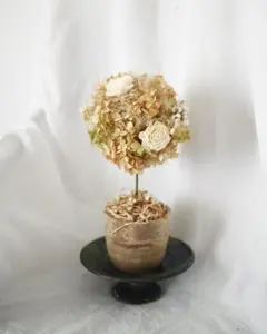 Item thumbnail for item ce3a97fc-aba4-4c38-a673-2cee73b327f8