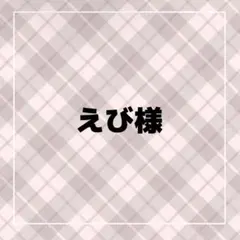 えび様専用ページ