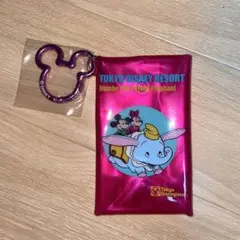 東京ディズニーリゾート ダンボ ミッキー ミニー カラビナ付きケース