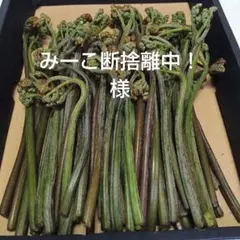 みーこ断捨離中！様リクエスト