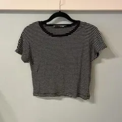 ZARA ストライプ クロップドTシャツ