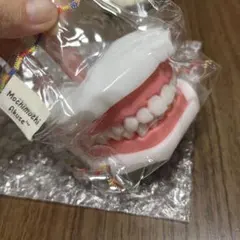 MOCHIMOCHI AKUSE 入れ歯