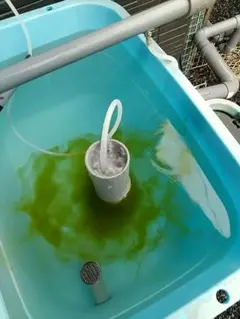 ミジンコ培養装置3層式【土台のみ】のサムネイル