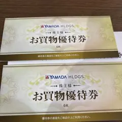 ヤマダ電機　お買物優待券 6000円分(500円×12枚)