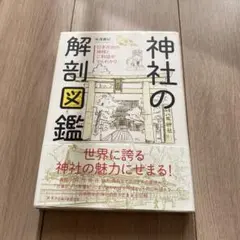 Item thumbnail for item 03b68616-06ca-49ff-8280-c0cb62b0edea