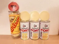 2026年最新】DUNLOP(ダンロップ) フォート 2球缶の人気アイテム - メルカリ