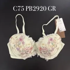 りくちょ様。レシアージュc70×L 新品未使用 楽天市場】wacoal c70 レシアージュの通販