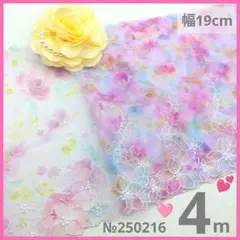№250216　チュールレース