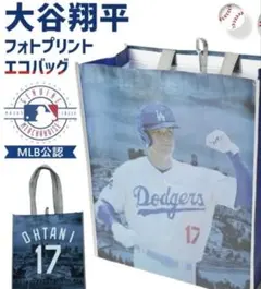 Item thumbnail for item 675c6eb6-571e-4234-b17a-282f62d492a5