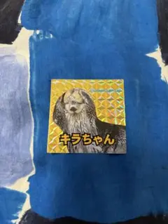 鳥羽水族館　ラッコ　キラちゃん　シール