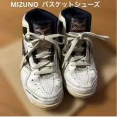 Item thumbnail for item f6f238c7-76af-4926-8922-7a09fbd0df3c