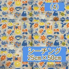 Item thumbnail for item c07bbe53-315c-491c-a820-08e3cacefe84