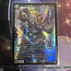 デュエルマスターズ 禁断の超轟速 バイオレットゾーン