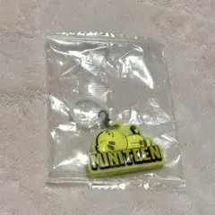 SEVENTEEN MINITEEN めじるしアクセサリー ホシ