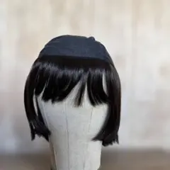 2025年最新】医療用ウィッグ スヴェンソンの人気アイテム - メルカリ