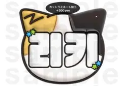 リッキー ZEROBASEONE うちわ文字 ネームボード ぷっくり ZB1