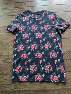 Item thumbnail for item 7c2ca933-8ee0-445a-bd2c-a66aa73ad620