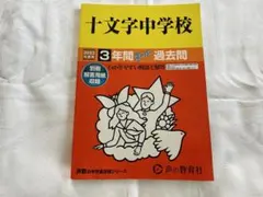 Item thumbnail for item 8d266296-b704-4ad2-ba7b-1a14ae744dba