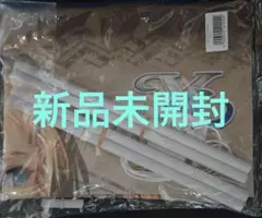 新品未開封　イース10 カージャ　タペストリー　店舗特典