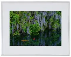 Item thumbnail for item 18f6df23-d1d5-446a-b72f-28ccd4b1469f