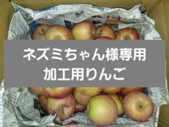 【ネズミちゃん様専用e7】加工用りんご