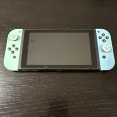 Nintendo switch 本体 あつまれ動物の森デザイン