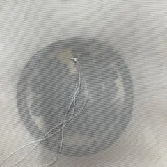 Item thumbnail for item 141032d2-f81a-45c9-832c-8fefc310a291