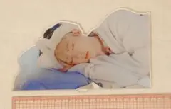 2025年最新】astro サナ アクスタの人気アイテム - メルカリ