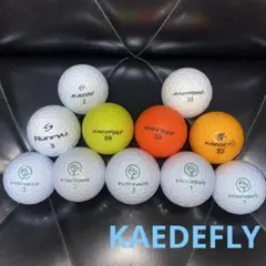 カエデフライ 11個入 ロストボール