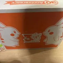 ポケモン おかえりピカチュウ1/2 はじまりのピカチュウ 3点セット