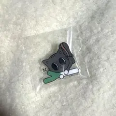 TXT プルバトゥ ご当地 アクリルバッジ 埼玉 ダゴニャン