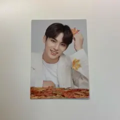 SEVENTEEN セブチ Ode to You ミンギュ トレカ 74 - メルカリ