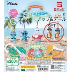 ディズニーめじるしアクセサリー チップ&デールセット