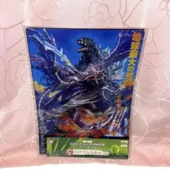 GODZILLA　怪獣惑星　一番くじ　ゴジラvsメガギラス　クリアファイル　特撮