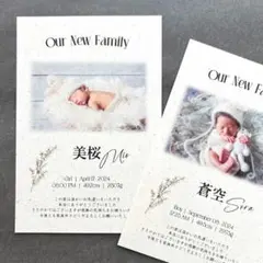 Item thumbnail for item 4d136cd4-fecd-439d-a76e-09f01fe36276