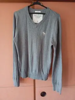Abercrombie & Fitch Vネックニット グレー Mのサムネイル