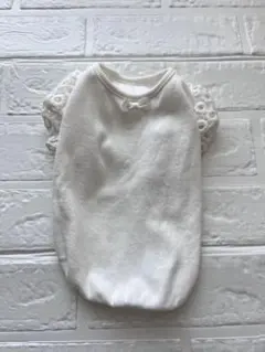 Item thumbnail for item 64e13986-91cc-4509-b48d-32990b2c566f