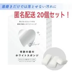 Item thumbnail for item def794a8-3a56-4e2b-8ea5-ac6c3079dad3