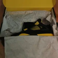 Nike Air Jordan 4 28cm Retro 