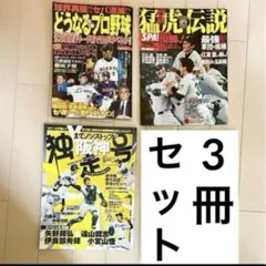 1985年 阪神優勝記念雑誌 週刊サンケイ ニッカンスポーツクラブ他 81J-6K2oEUL.jpg
