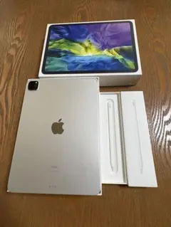 iPad Pro 11インチ第2世代　Apple pencil第2世代