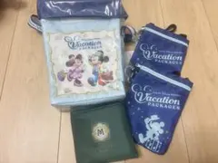 東京ディズニーリゾート バケーションパッケージ バッグ 4点セット