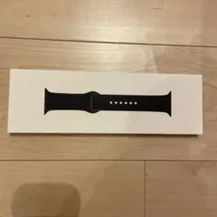 applewatch スポーツバンド スペースブラックステンレススチールピン