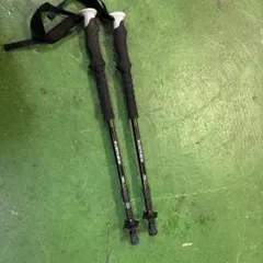 Item thumbnail for item fac3a178-e91a-4bb8-b76b-576bd7050214