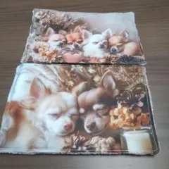 Item thumbnail for item 13138ade-803d-4bdf-84c3-a713bd88528b