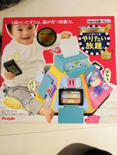 いたずら1歳 やりたい放題 知育玩具